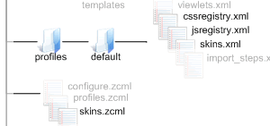 Subsidiary files used for installing and setting up the Skin